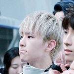 [세븐틴] 방금 에센엘 광고나와서봤는데