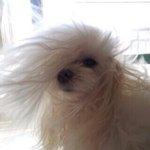 [EXO] 얘들아 나 친한<b>절친들</b> 모임?