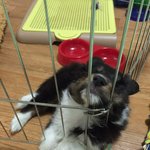 [망고랜드] 천방지축 7남매 웰컴투 망고랜드(3)