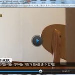 [방탈죄송] 자립지원에 대한 <b>현황</b> 