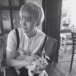 [방탄소년단] 애들 애완<b>동물</b> 기르는거