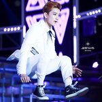 [세븐틴] ㅋㅋㅋㅋㅋㅋㅋㅋ지수