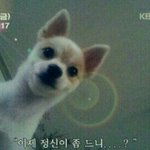 [댓글부탁해] 수업시간에 잠깨는 방법 공유하장