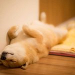 [동성] (동성)<b>철부지</b> 2