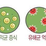 부모님을 위한 건강 추석선물 추천