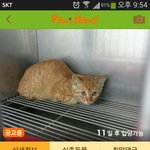 이 좁은 공간에서 살기 힘들어요ㅠㅠ 빨리 가족을 만나서 포근한 집에서...