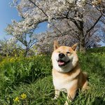 [동성] (동성)<b>철부지</b> 4