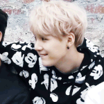 [방탄소년단] 어디서 많이 봤다 했더니 슙뭉이
