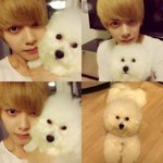 [EXO] 한솔이가 보기에도 혼자 쇼하는거 <b>티난대</b>