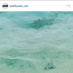 [카이] 무뤄어?