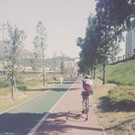 [댓글부탁해] (톡선수정)한국거리 특유의청량함