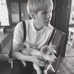 [방탄소년단] 문제는 그 화를 왜 같은 아미한테 푸냐고