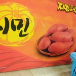 [방탄소년단] ㅋㅋㅋㅋㅋㄱ한번씩웃고가