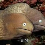 [EXO] 시발 5일째 간선<b>하차</b>
