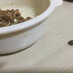 <b>사료</b>안에서 플라스틱이 나왔어요...