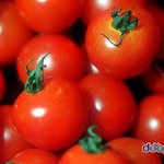 [EXO] <b>싱싱</b>하고 맛있어요