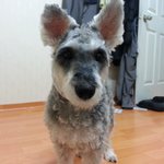 한눈판사이에 <b>집밖</b>으로나갔습니다....도와주세요..