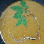 [소리먹방] 초대형 <b>산삼</b>달고나를 만들어 봤어요.