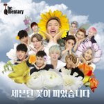 [세븐틴] <b>마운틴</b>VS캐럿