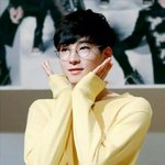 [세븐틴] 팬덤이름 붕붕 어떰??