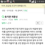 [꼭보세요] 자신의 비글이 실험견 같다고 글써 주셨던 분