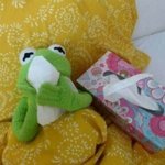 [댓글부탁해] <b>요번</b>주에 시험인데 이러고있다ㅋㅋㅋㅋㅋㅋ