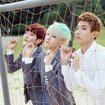 [세븐틴] 이번팬싸 미쳤구나