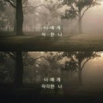 [댓글부탁] 이런것좀많이많이주라아아