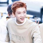 [세븐틴] 조슈아 <b>양심</b>있음??;;