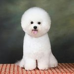 [꼭댓글조언] Mrecy 옷 추천좀요!!!!!!!!!