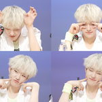 <b>셉틴</b>