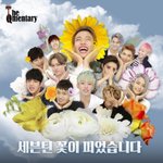 [세븐틴] 세븐틴 웃긴 사진