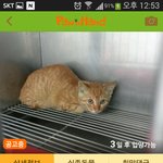 꼭 살아서 나올수 있게 도와주세요..ㅠㅠ