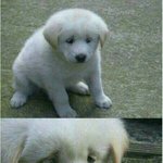 <b>파마</b>랑 염색하고싶다 ㅠㅠㅠㅠㅠ