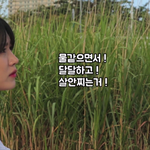 여친이 말하는 아무거나 음료수는 뭘까?