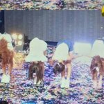 [에이핑크] 데뷔5년<b>차인</b>성;