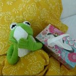 [방탄소년단] <b>솔지</b>키 지방사는아미들..
