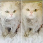 나의 소중한 먼지이야기