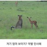 [드루와] 마트에서 아줌마가 <b>도둑</b>이야!!
