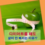 [다이어트] 다이어트 해도 살이 안 빠지는 이유은? 체크해 볼 8가지...