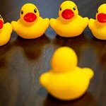 [EXO] 기운센 <b>천하장사</b>