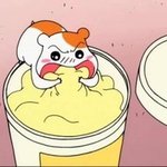 <b>양말</b> 살건데 싸고 질 괜찮은데 추천좀!!