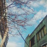 다음 주 <b>청자켓</b>  입으면 더울라나?