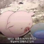 아 레알 학교가기싫다