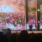 [러블리즈] 타팬인데