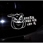 [초보운전] * 재미있는 사진 ^^ *