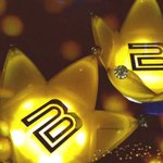 [EXO] 각 아이돌별 응원봉
