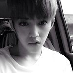 [EXO] 판판이 <b>근황</b>