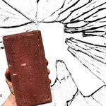 고양이 때문에 사람이 죽었어요