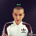 [EXO] 짤모음 <b>완성</b>한다